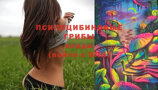 дживик Михайлов