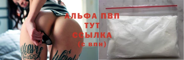 стаф Абаза