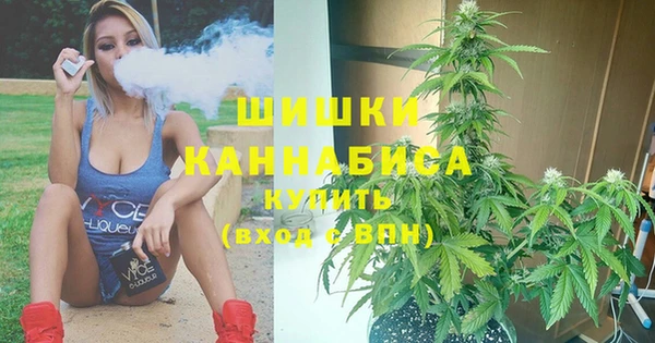 стаф Абаза