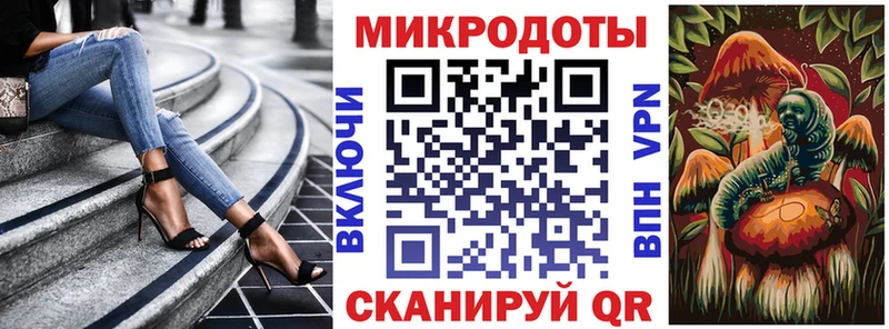дарнет шоп  мориарти Telegram  Галлюциногенные грибы Psilocybine cubensis  Новотитаровская 